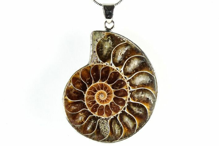 Fossil Ammonite Pendant - Million Years Old #306519